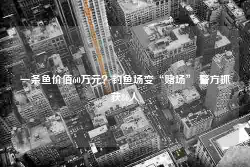 一条鱼价值60万元？钓鱼场变“赌场” 警方抓获86人