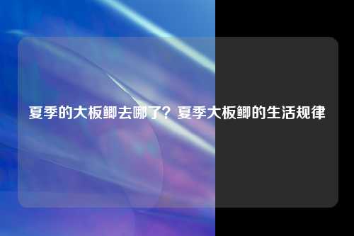 夏季的大板鲫去哪了？夏季大板鲫的生活规律