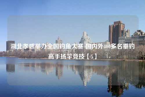 湖北孝感举办全国钓鱼大赛 国内外400多名垂钓高手扬竿竞技【5】