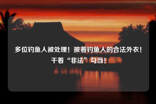 多位钓鱼人被处理！披着钓鱼人的合法外衣！干着“非法”勾当！