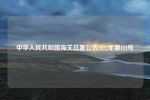 中华人民共和国海关总署公告2022年第111号