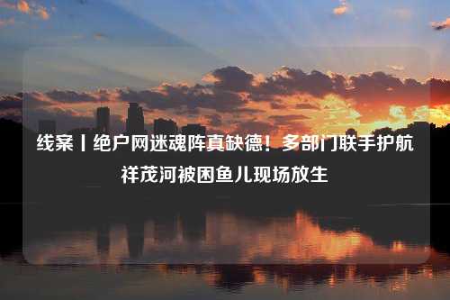 线案丨绝户网迷魂阵真缺德！多部门联手护航祥茂河被困鱼儿现场放生