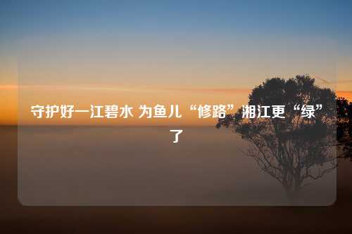 守护好一江碧水 为鱼儿“修路”湘江更“绿”了