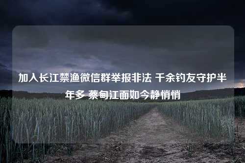 加入长江禁渔微信群举报非法 千余钓友守护半年多 蔡甸江面如今静悄悄