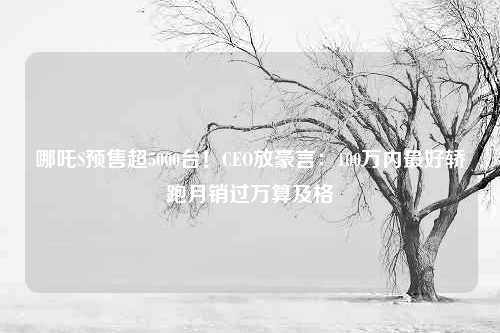 哪吒S预售超5000台！CEO放豪言：100万内最好轿跑月销过万算及格