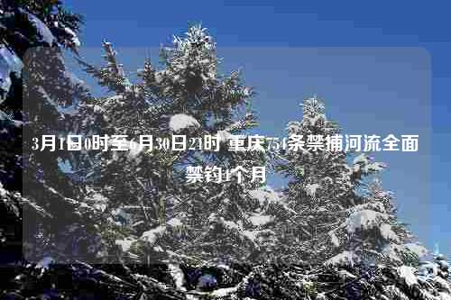 3月1日0时至6月30日24时 重庆754条禁捕河流全面禁钓4个月