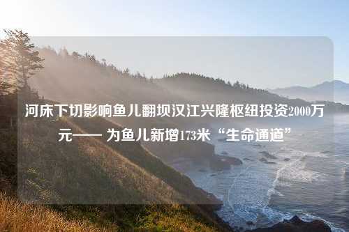 河床下切影响鱼儿翻坝汉江兴隆枢纽投资2000万元—— 为鱼儿新增173米“生命通道”