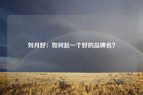 刘月好：如何起一个好的品牌名？