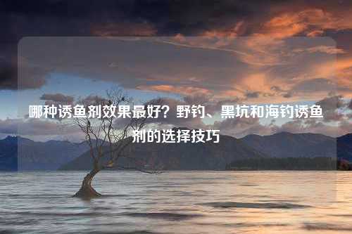 哪种诱鱼剂效果最好？野钓、黑坑和海钓诱鱼剂的选择技巧