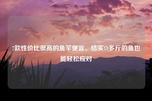 7款性价比很高的鱼竿便宜、结实10多斤的鱼也能轻松应对