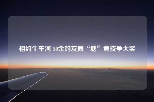 相约牛车河 50余钓友同“塘”竞技争大奖