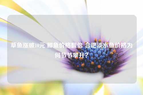 草鱼涨破10元 鲫鱼价格翻倍 合肥淡水鱼价格为何节节攀升？