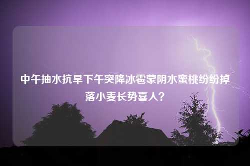 中午抽水抗旱下午突降冰雹蒙阴水蜜桃纷纷掉落小麦长势喜人？