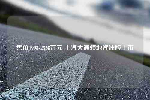 售价1998-2558万元 上汽大通领地汽油版上市