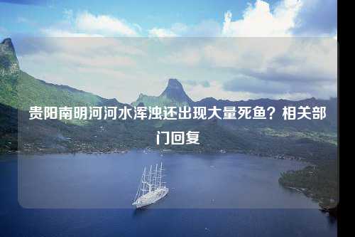 贵阳南明河河水浑浊还出现大量死鱼？相关部门回复