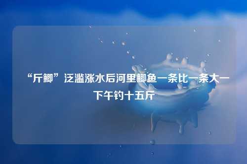 “斤鲫”泛滥涨水后河里鲫鱼一条比一条大一下午钓十五斤