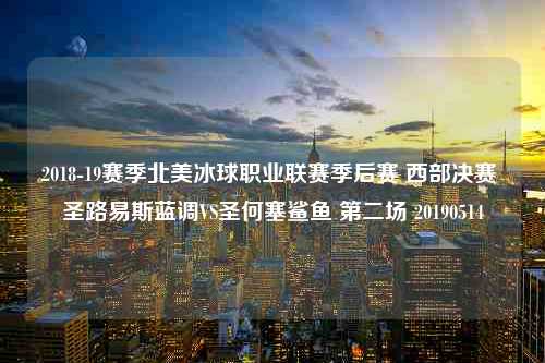 2018-19赛季北美冰球职业联赛季后赛 西部决赛 圣路易斯蓝调VS圣何塞鲨鱼 第二场 20190514