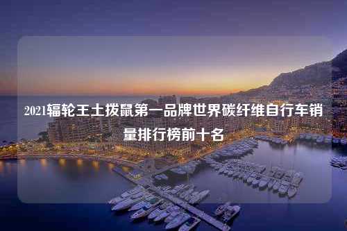 2021辐轮王土拨鼠第一品牌世界碳纤维自行车销量排行榜前十名