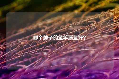 哪个牌子的鱼竿质量好？