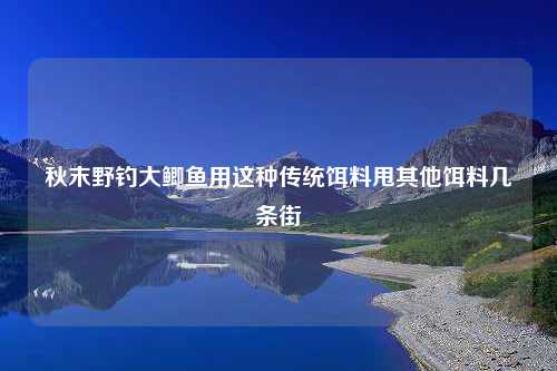 秋末野钓大鲫鱼用这种传统饵料甩其他饵料几条街