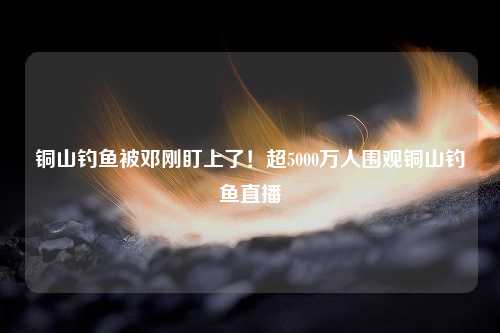 铜山钓鱼被邓刚盯上了！超5000万人围观铜山钓鱼直播