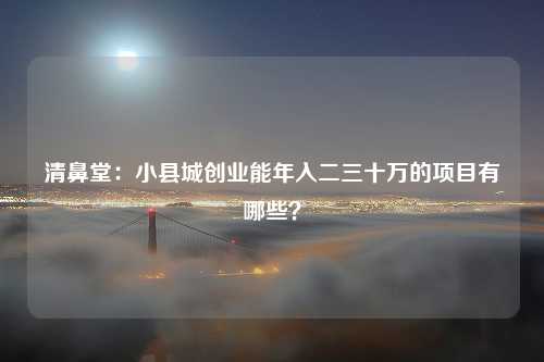 清鼻堂：小县城创业能年入二三十万的项目有哪些？