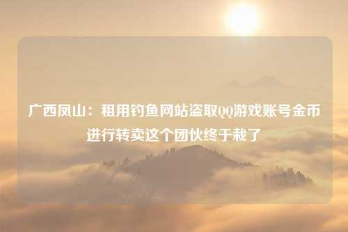 广西凤山：租用钓鱼网站盗取QQ游戏账号金币进行转卖这个团伙终于栽了