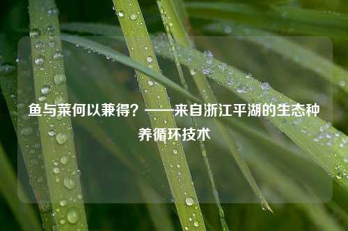 鱼与菜何以兼得？——来自浙江平湖的生态种养循环技术