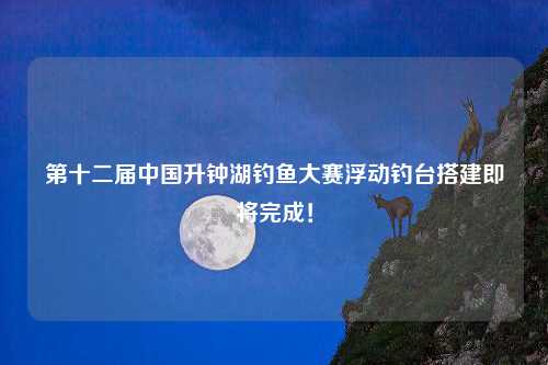 第十二届中国升钟湖钓鱼大赛浮动钓台搭建即将完成！