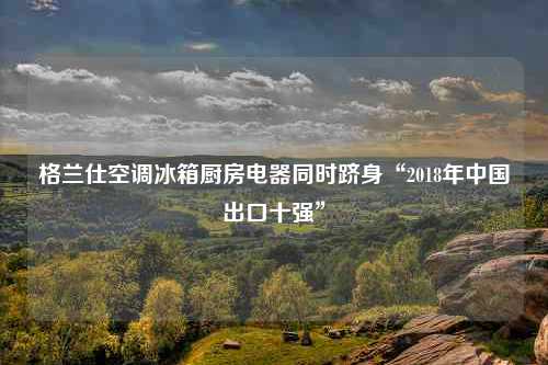 格兰仕空调冰箱厨房电器同时跻身“2018年中国出口十强”