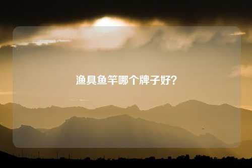 渔具鱼竿哪个牌子好？