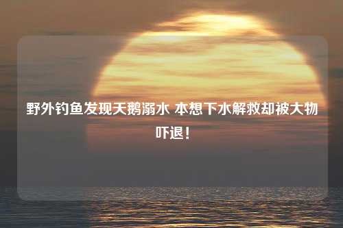 野外钓鱼发现天鹅溺水 本想下水解救却被大物吓退！