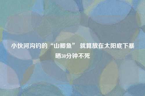 小伙河沟钓的“山鲫鱼” 就算放在太阳底下暴晒30分钟不死