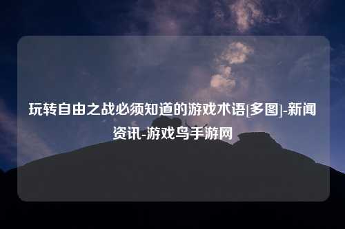 玩转自由之战必须知道的游戏术语[多图]-新闻资讯-游戏鸟手游网