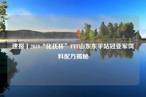 速报丨2019“化氏杯”FTT山东东平站冠亚军饵料配方揭秘