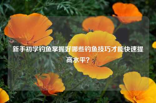 新手初学钓鱼掌握好哪些钓鱼技巧才能快速提高水平？