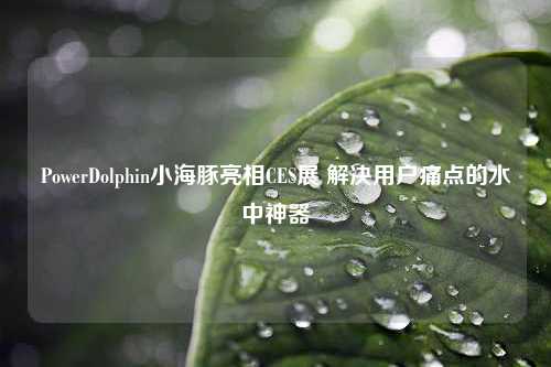 PowerDolphin小海豚亮相CES展 解决用户痛点的水中神器