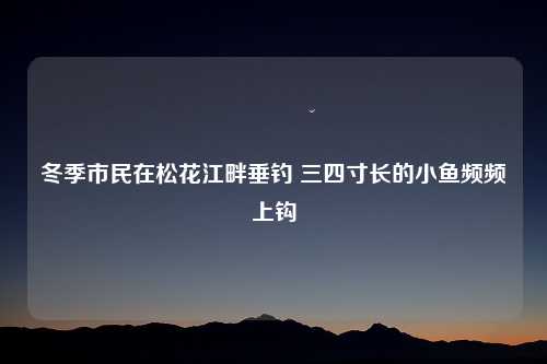 冬季市民在松花江畔垂钓 三四寸长的小鱼频频上钩