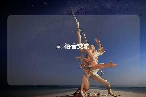 nice语音交流