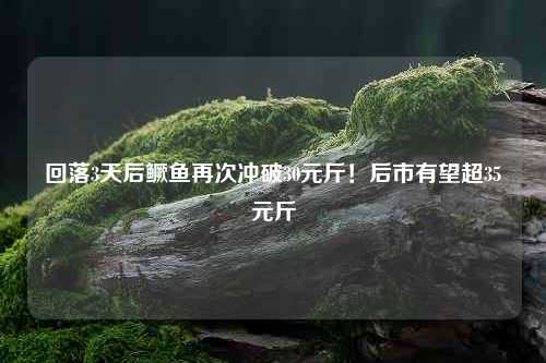回落3天后鳜鱼再次冲破30元斤！后市有望超35元斤