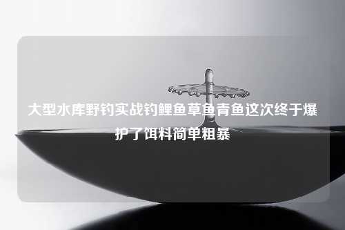 大型水库野钓实战钓鲤鱼草鱼青鱼这次终于爆护了饵料简单粗暴