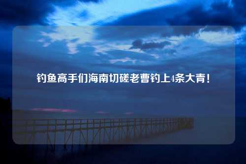 钓鱼高手们海南切磋老曹钓上4条大青！