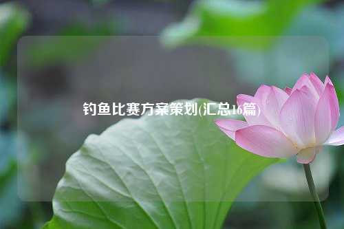 钓鱼比赛方案策划(汇总16篇)