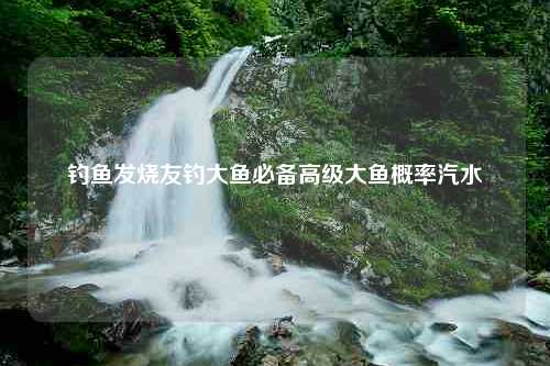 钓鱼发烧友钓大鱼必备高级大鱼概率汽水