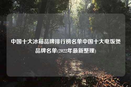 中国十大冰箱品牌排行榜名单中国十大电饭煲品牌名单(2022年最新整理)