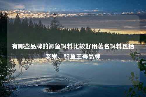 有哪些品牌的鲫鱼饵料比较好用著名饵料包括老鬼、钓鱼王等品牌