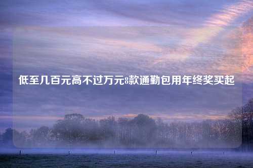 低至几百元高不过万元8款通勤包用年终奖买起