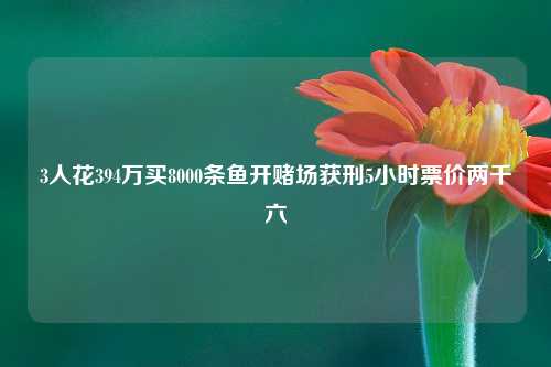 3人花394万买8000条鱼开赌场获刑5小时票价两千六