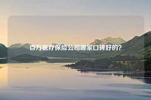 百万医疗保险公司哪家口碑好的？