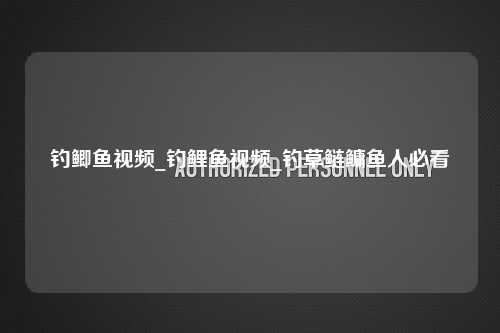 钓鲫鱼视频_钓鲤鱼视频_钓草鲢鳙鱼人必看